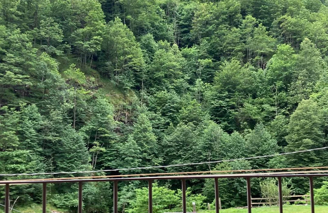 Ospitalità rurale familiare Land Wasser-1